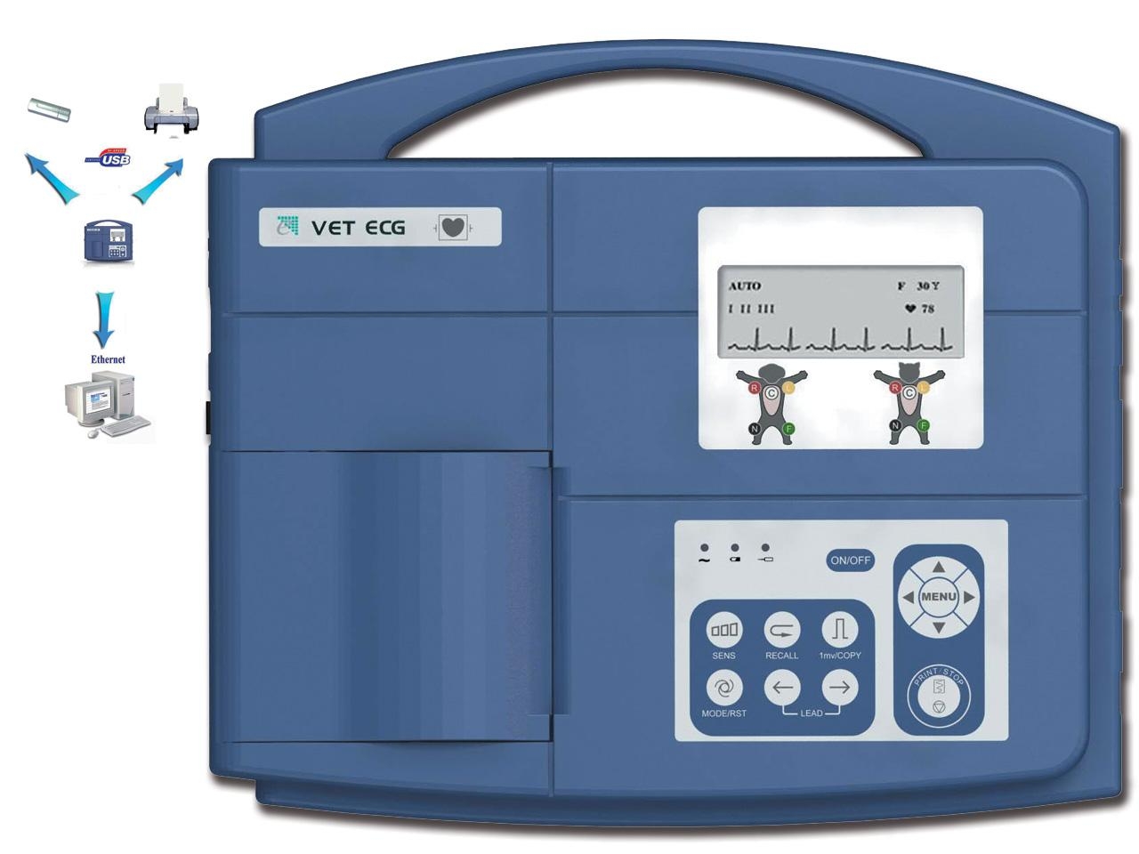 ECG VETERINARIA VE-300 - 3 canali 33306